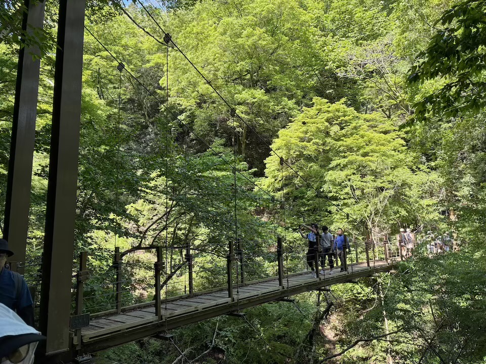 高尾山で唯一の吊り橋「みやま橋」